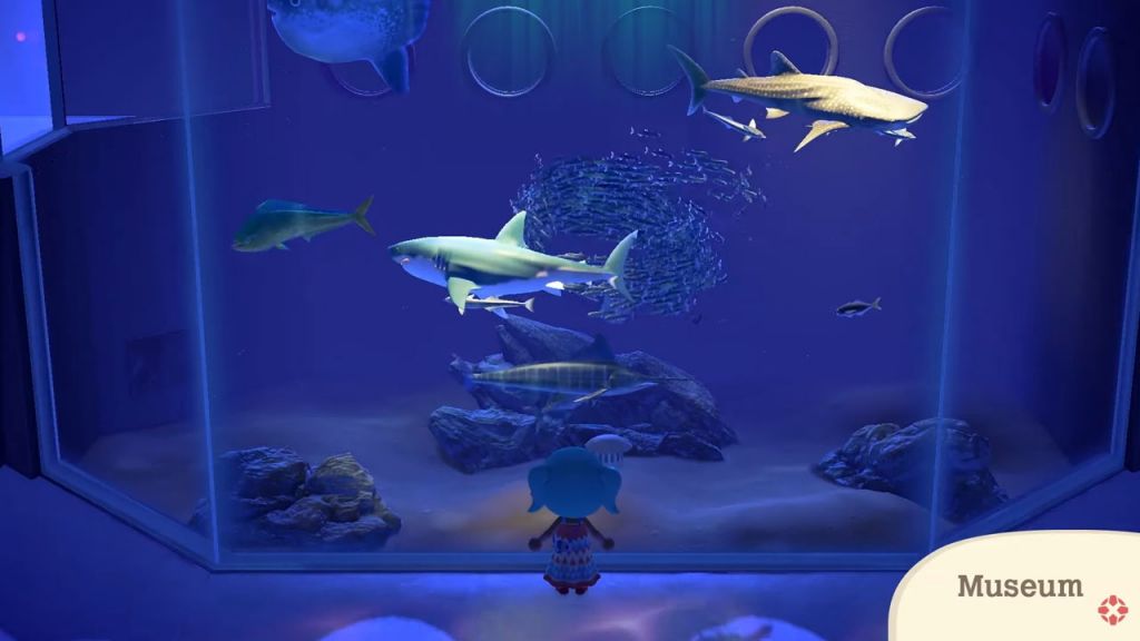 Squali nel museo su Animal Crossing New Horizons