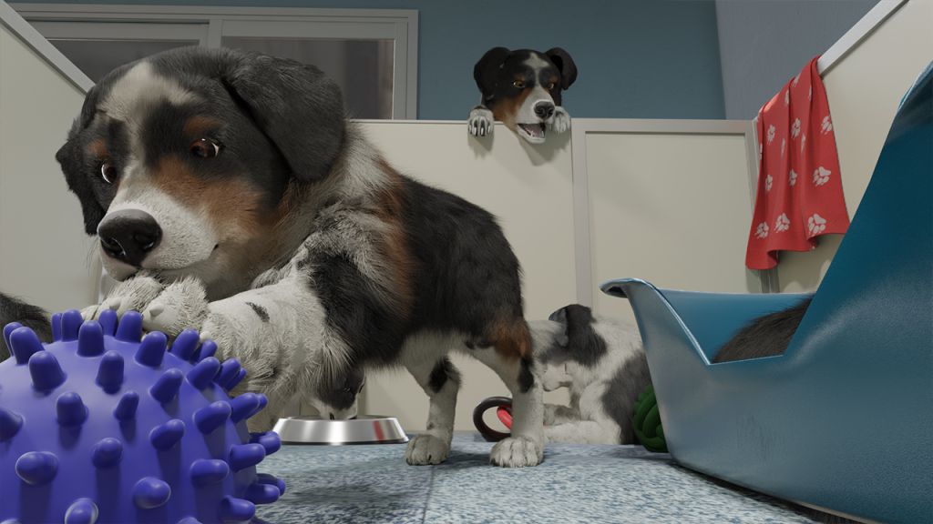 Cussioli su Dog Trainer